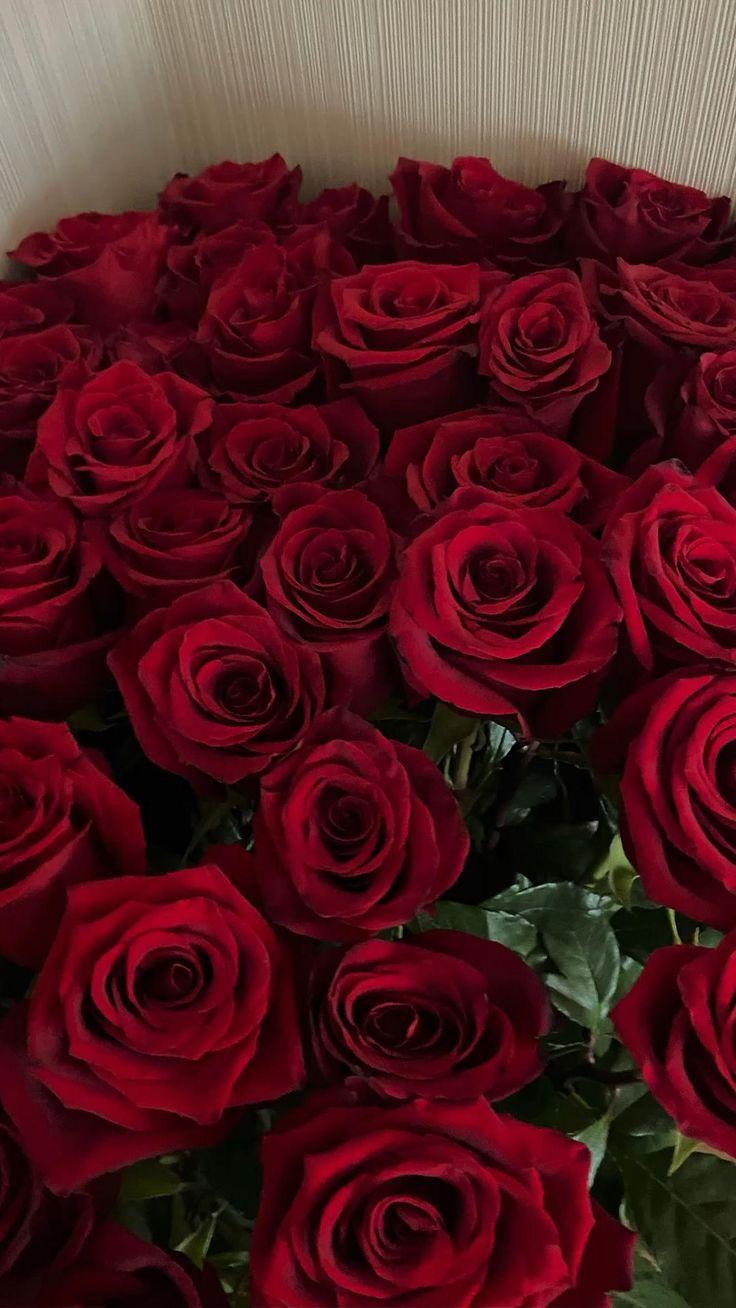 Enchanted Eve: Blooms & Whispers